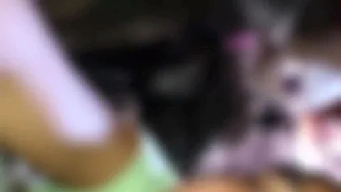 Don't Put It in the Ass